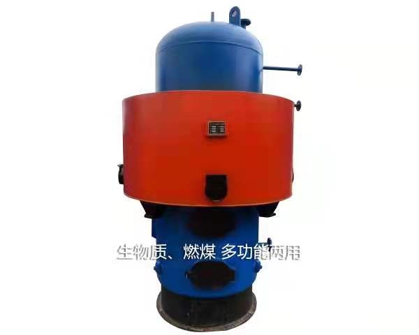 生物質(zhì)兩用蒸氣鍋爐